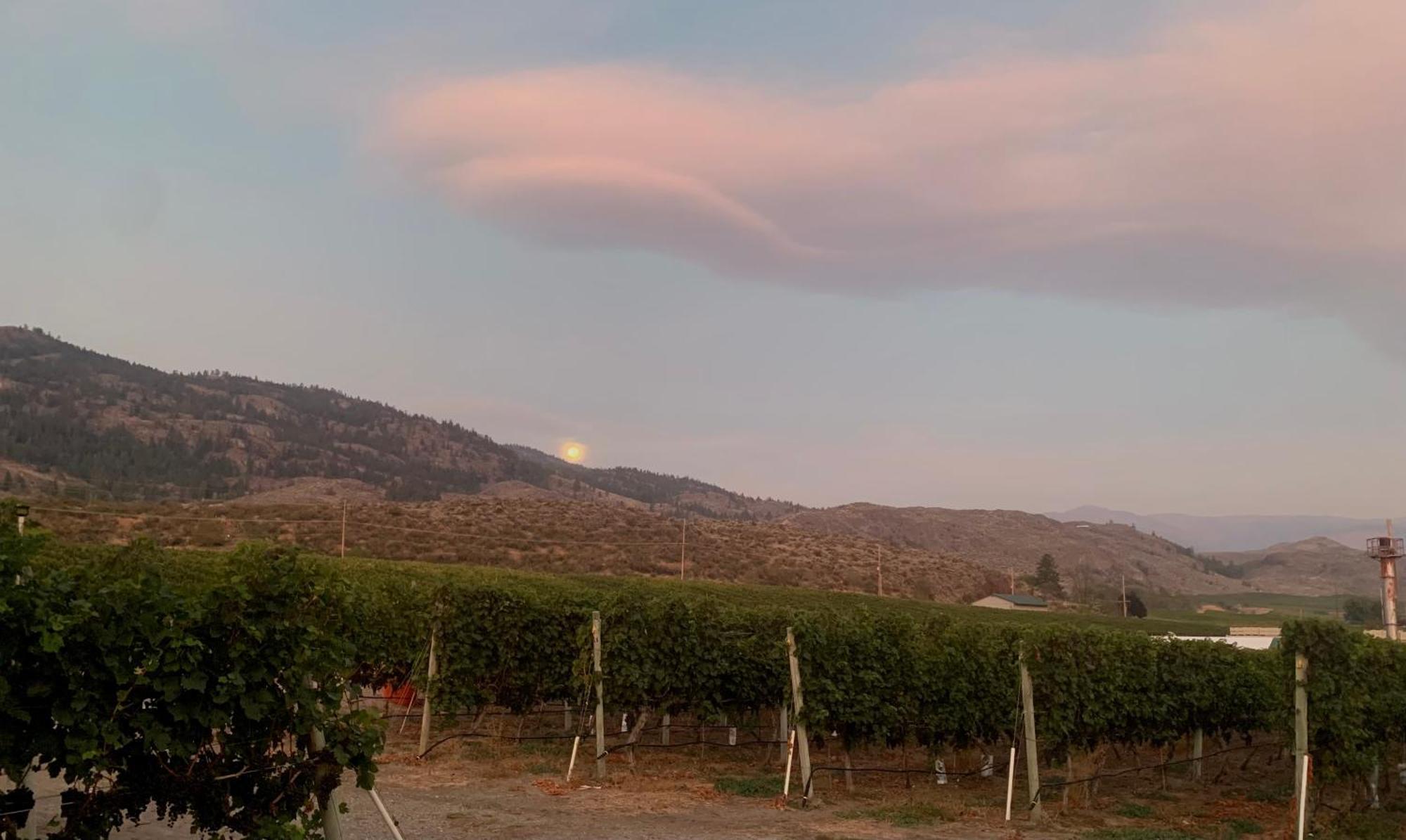 Sonora Desert Inn Osoyoos Bagian luar foto