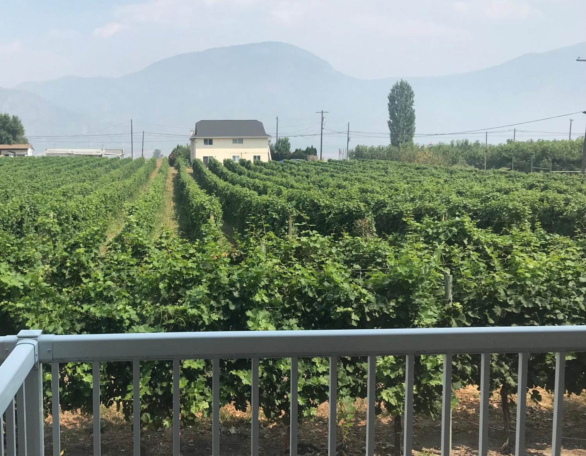 Sonora Desert Inn Osoyoos Bagian luar foto