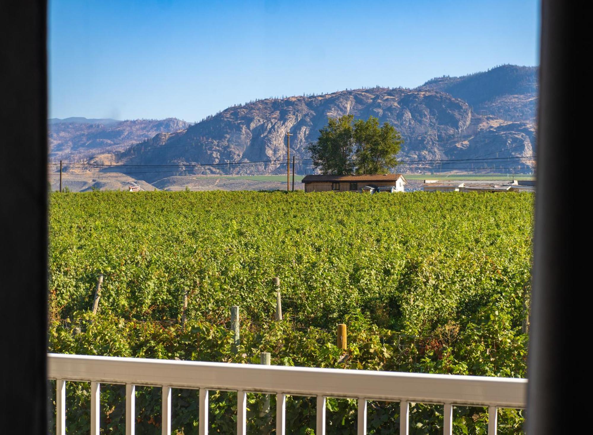 Sonora Desert Inn Osoyoos Bagian luar foto