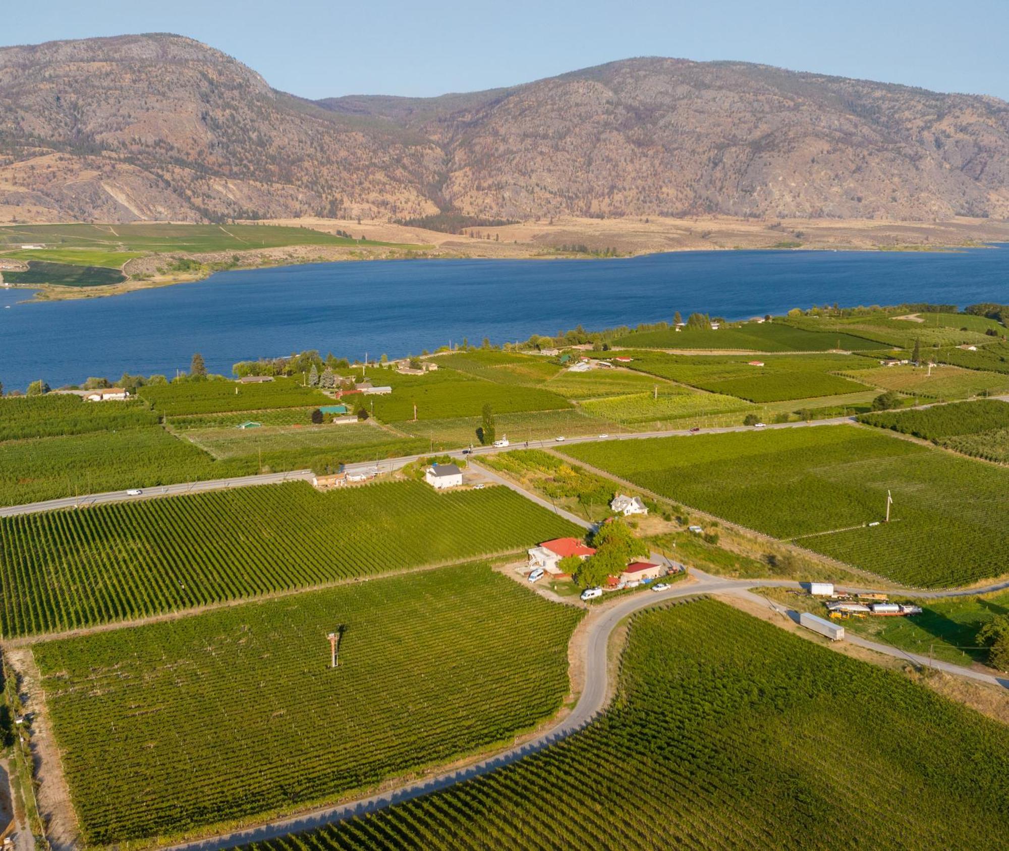 Sonora Desert Inn Osoyoos Bagian luar foto